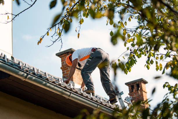 Best Storm Damage Roof Repair  in Williams, OR