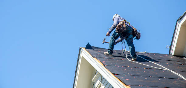 Best Roof Maintenance Services  in Williams, OR